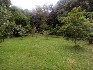 Chácara, 2 quartos, 1000 m² - Foto 8