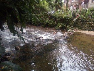 Chácara, 2 quartos, 1000 m² - Foto 9