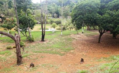 Sítio, 4 quartos, 2 hectares - Foto 10