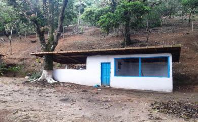 Sítio, 4 quartos, 2 hectares - Foto 6