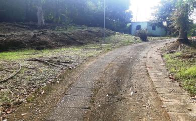 Chácara, 2 quartos, 3300 m² - Foto 9