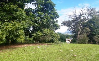 Chácara, 2 quartos, 3300 m² - Foto 2