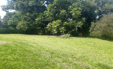 Chácara, 2 quartos, 3300 m² - Foto 7