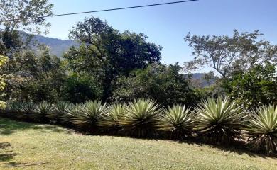 Sítio, 2 quartos, 2 hectares - Foto 3