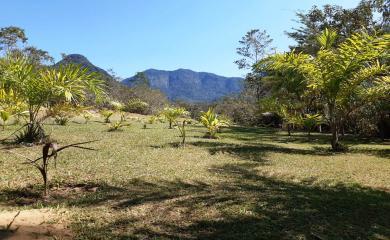 Sítio, 2 quartos, 2 hectares - Foto 1