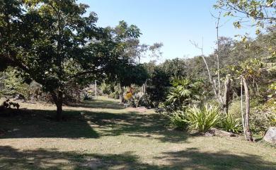 Sítio, 2 quartos, 2 hectares - Foto 13