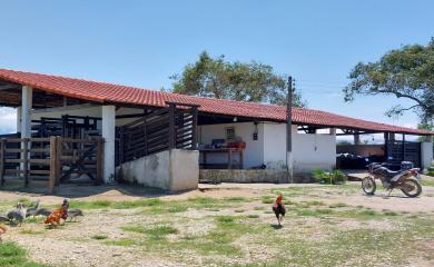 Fazenda, 33 hectares - Foto 7