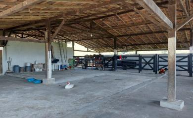 Fazenda, 33 hectares - Foto 9