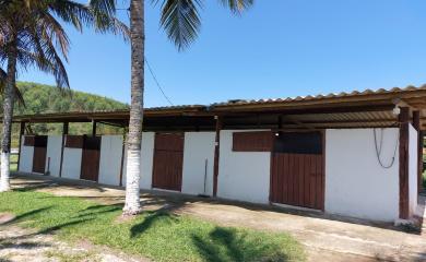 Fazenda, 33 hectares - Foto 6
