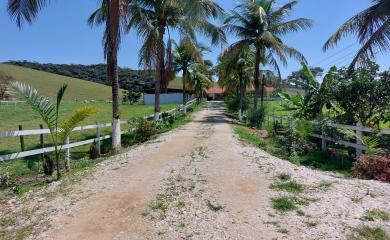 Fazenda, 33 hectares - Foto 5