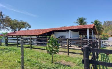 Fazenda, 33 hectares - Foto 8