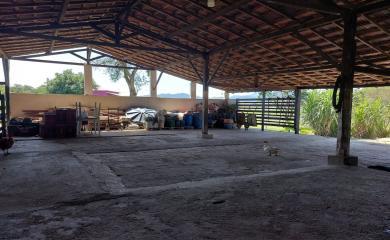 Fazenda, 33 hectares - Foto 10