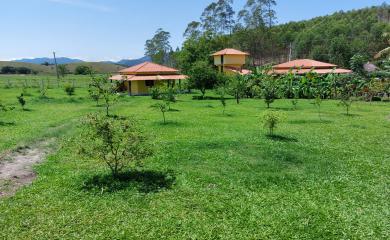 Fazenda, 33 hectares - Foto 17