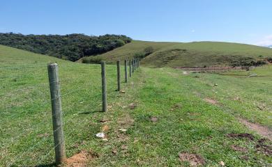 Fazenda, 33 hectares - Foto 21