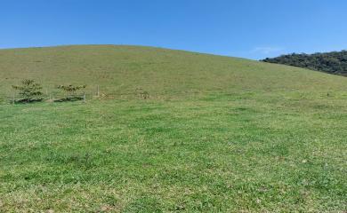 Fazenda, 33 hectares - Foto 20