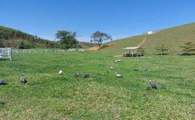 Fazenda, 33 hectares - Foto 24