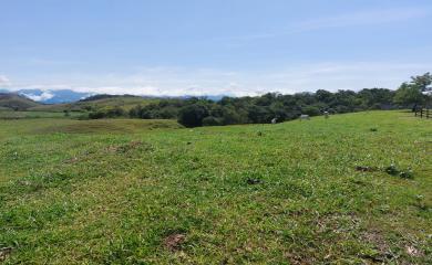 Fazenda, 33 hectares - Foto 25