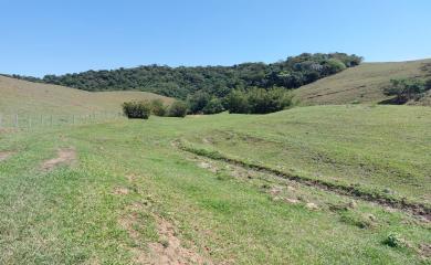 Fazenda, 33 hectares - Foto 27