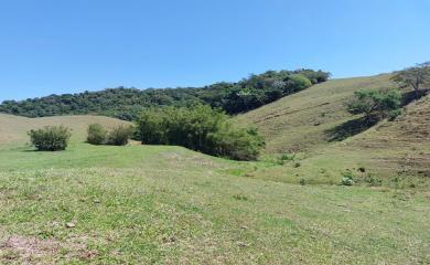 Fazenda, 33 hectares - Foto 26