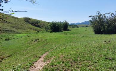 Fazenda, 33 hectares - Foto 30
