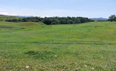 Fazenda, 33 hectares - Foto 28