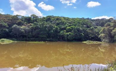 Sítio, 4 quartos, 16 hectares - Foto 20