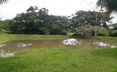 Sítio, 4 quartos, 16 hectares - Foto 5