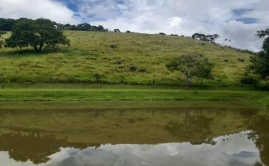 Sítio, 4 quartos, 16 hectares - Foto 4