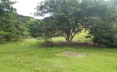 Sítio, 4 quartos, 16 hectares - Foto 10