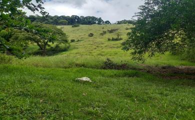 Sítio, 4 quartos, 16 hectares - Foto 17