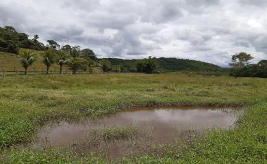 Sítio, 4 quartos, 16 hectares - Foto 25