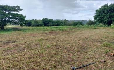 Sítio, 3 quartos, 17 hectares - Foto 7