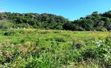 Sítio, 3 quartos, 17 hectares - Foto 11