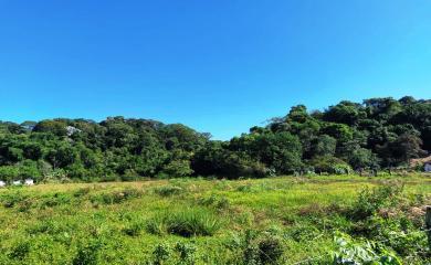 Sítio, 3 quartos, 17 hectares - Foto 10