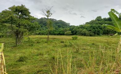 Sítio, 3 quartos, 17 hectares - Foto 9