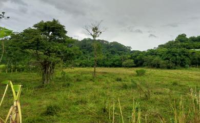 Sítio, 3 quartos, 17 hectares - Foto 8