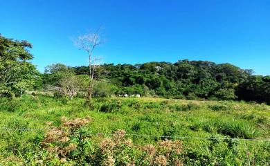 Sítio, 3 quartos, 17 hectares - Foto 12