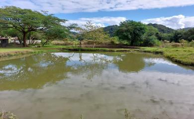 Sítio, 4 quartos, 7 hectares - Foto 2