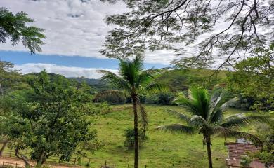 Sítio, 4 quartos, 7 hectares - Foto 23