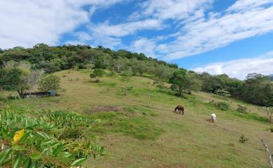 Sítio, 4 quartos, 7 hectares - Foto 20