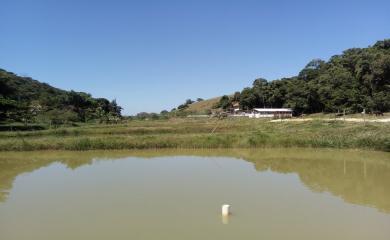 Sítio, 3 quartos, 14 hectares - Foto 6