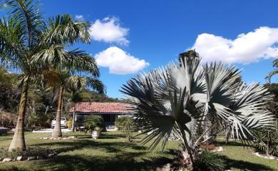 Sítio, 3 quartos, 14 hectares - Foto 2