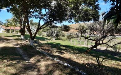 Sítio, 3 quartos, 14 hectares - Foto 5