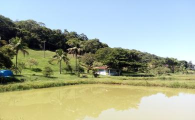 Sítio, 3 quartos, 14 hectares - Foto 7