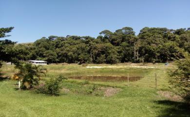 Sítio, 3 quartos, 14 hectares - Foto 15