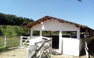 Sítio, 3 quartos, 14 hectares - Foto 11