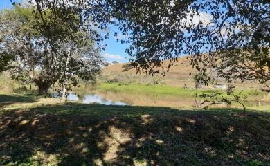 Sítio, 3 quartos, 14 hectares - Foto 16