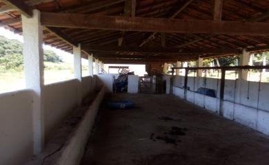 Sítio, 3 quartos, 14 hectares - Foto 19