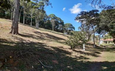 Sítio, 3 quartos, 14 hectares - Foto 22