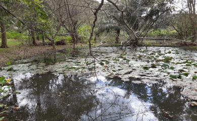 Sítio, 3 quartos, 19 hectares - Foto 4